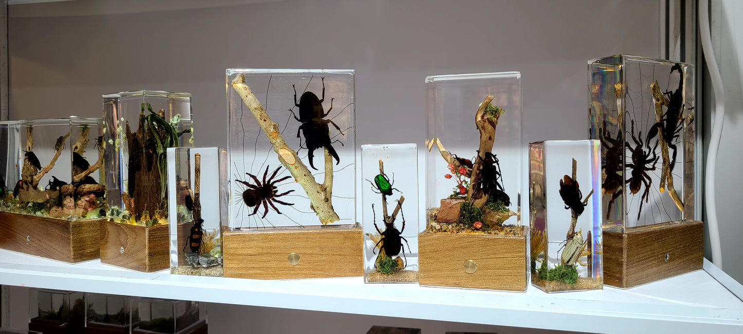Acrylic Insects in Nature 110x45x28 mm³