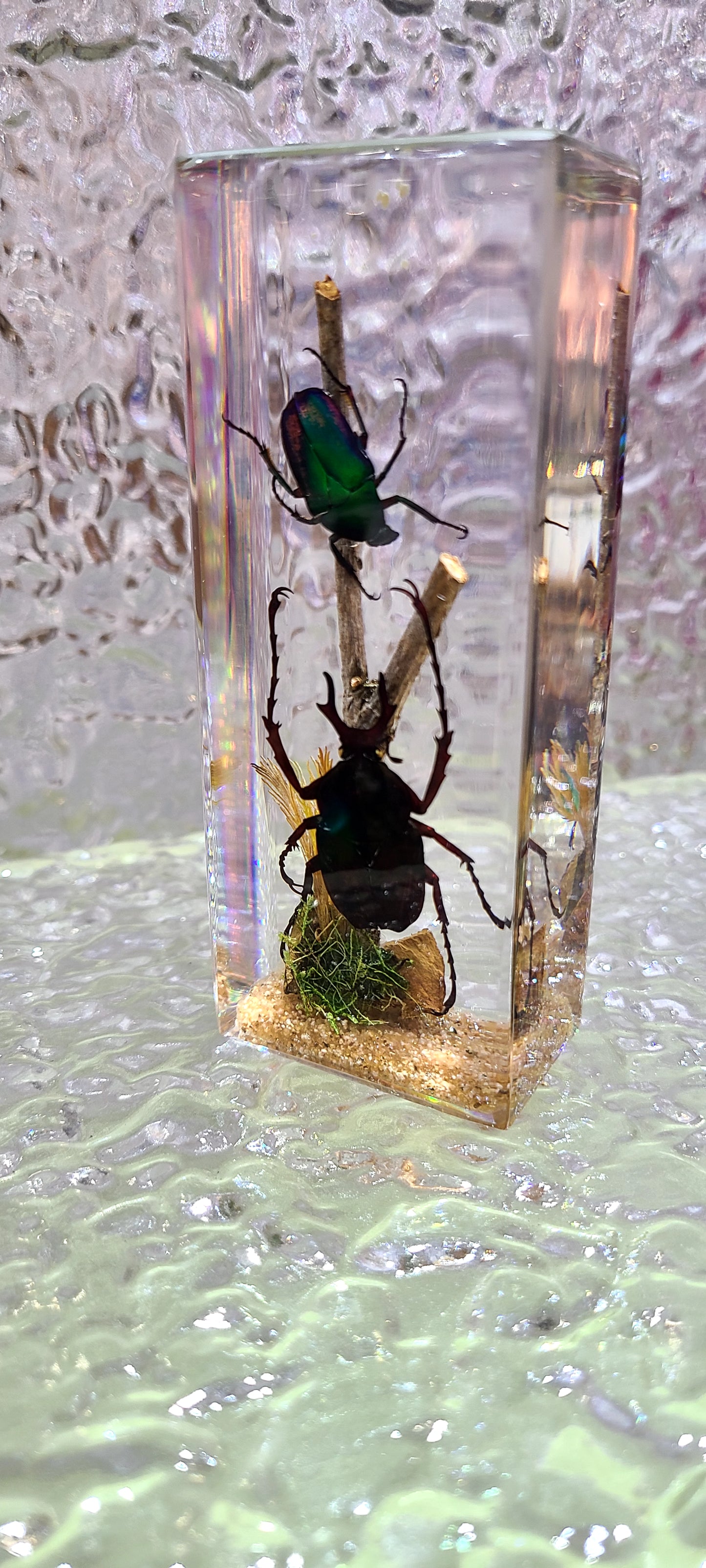 Acrylic Insects in Nature 110x45x28 mm³