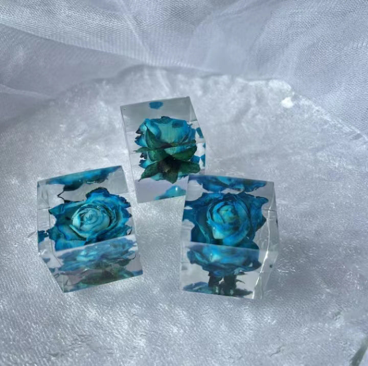 Flowers in Acrylic Blocks