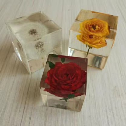 Flowers in Acrylic Blocks