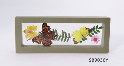 Butterfles in Frame 180x70x20 mm³ ，230x90x20 mm³ ，90x90x20 mm³ ，110X110X20 mm³