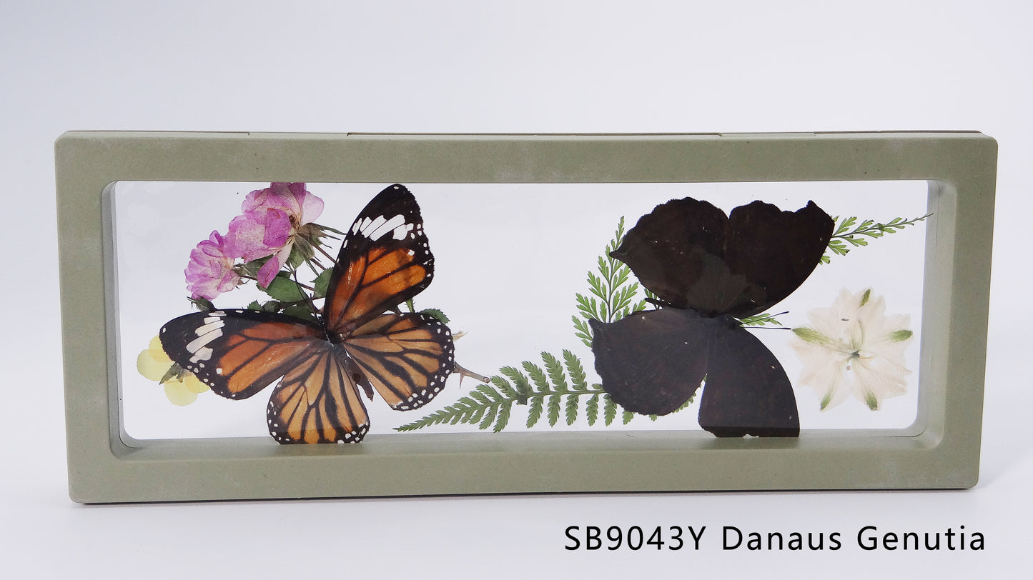 Butterfles in Frame 180x70x20 mm³ ，230x90x20 mm³ ，90x90x20 mm³ ，110X110X20 mm³